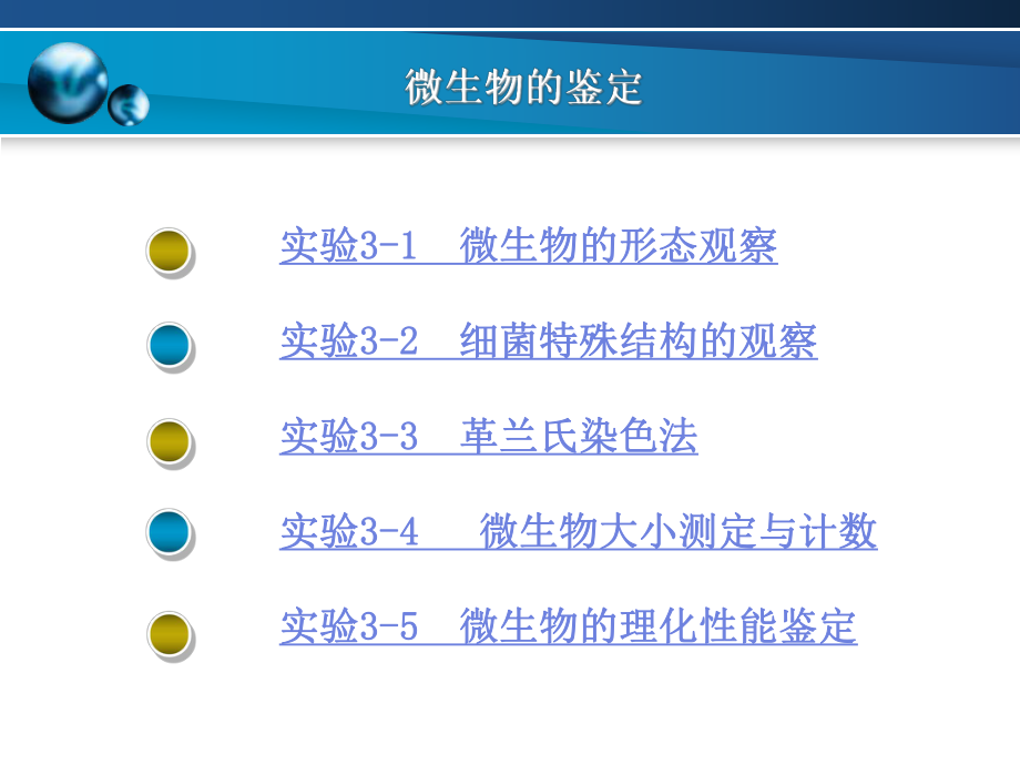 微生物的鉴定(精).ppt_第2页