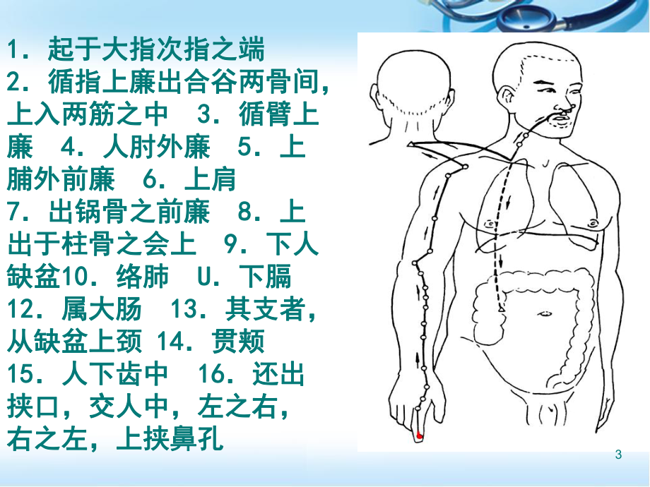 手阳明大肠经ppt医学课件.ppt_第3页