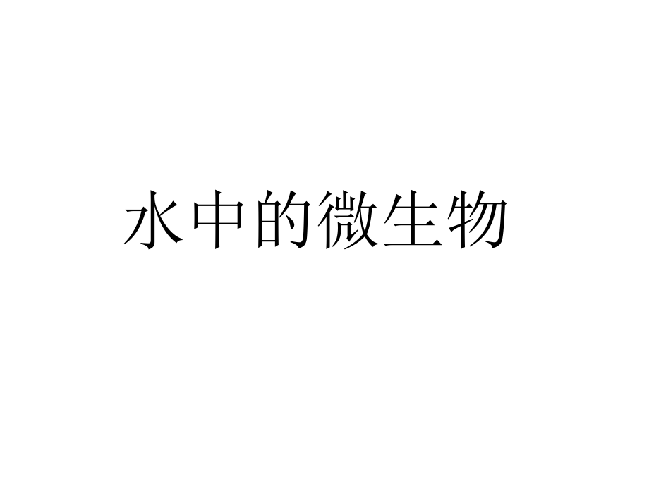 水中的微生物.ppt_第1页