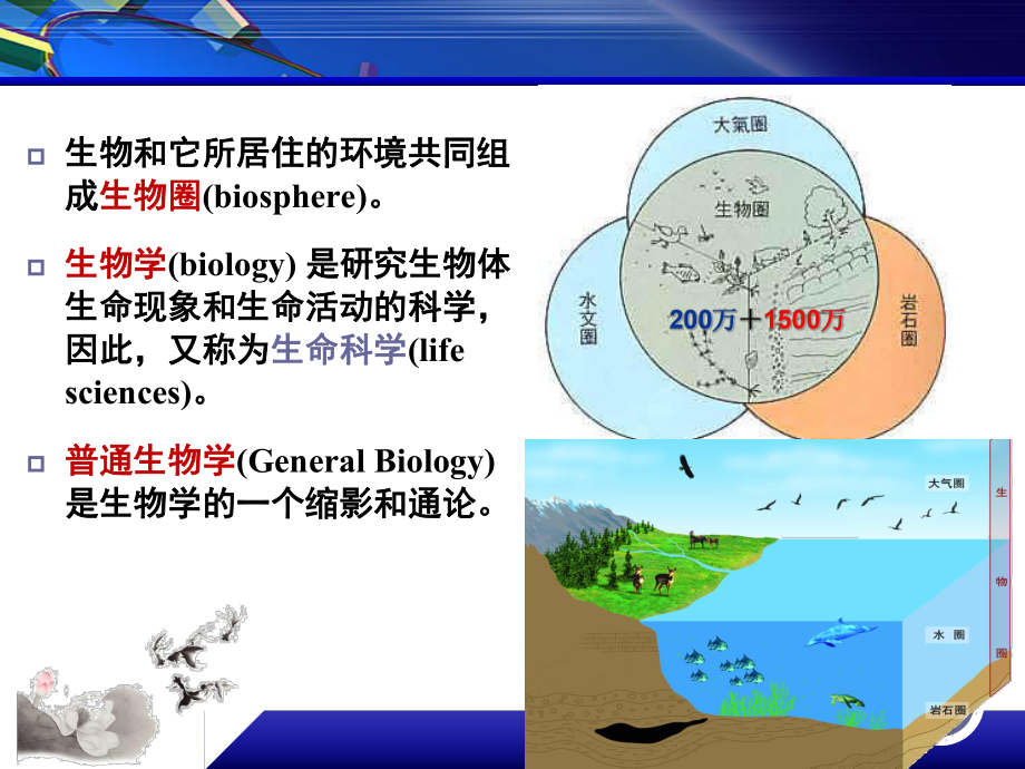 普通生物学绪论.ppt_第3页