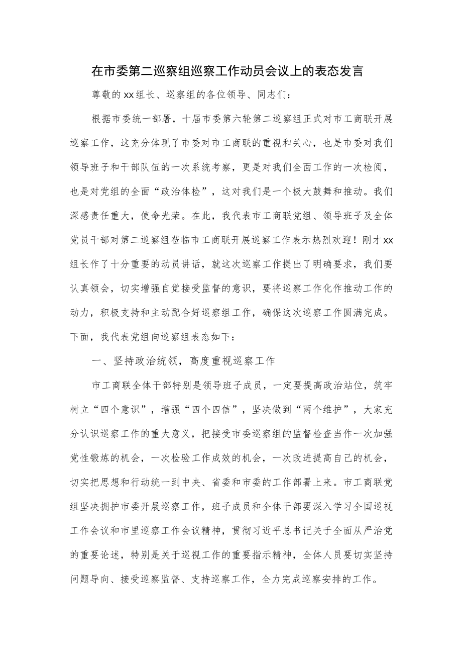 在市委第二巡察组巡察工作动员会议上的表态发言.docx_第1页