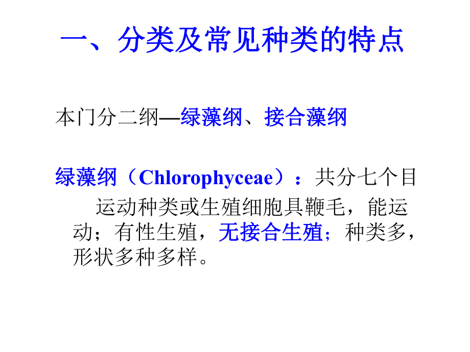 水生生物学绿藻门.ppt_第2页