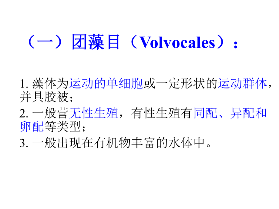 水生生物学绿藻门.ppt_第3页