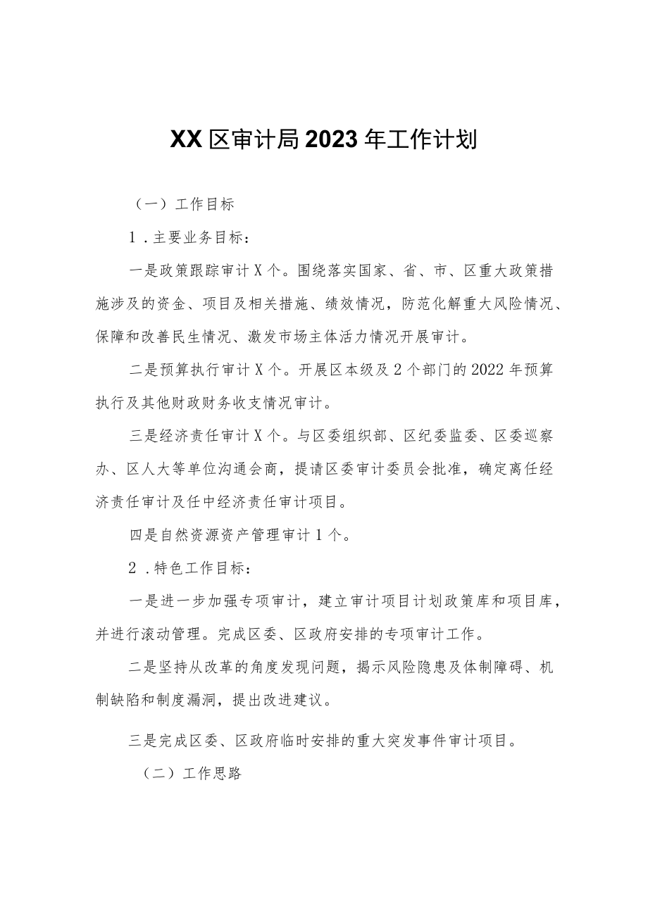 XX区审计局2023年工作计划.docx_第1页