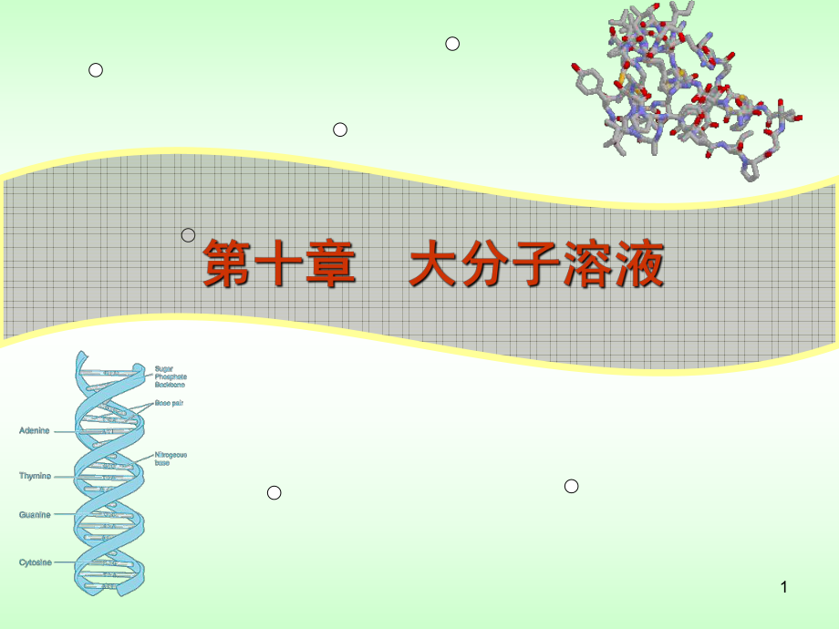 物理化学大分子溶液.ppt_第1页