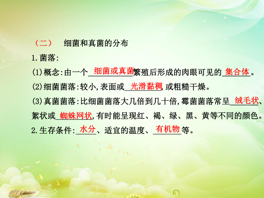 生物圈中的微生物.ppt_第2页