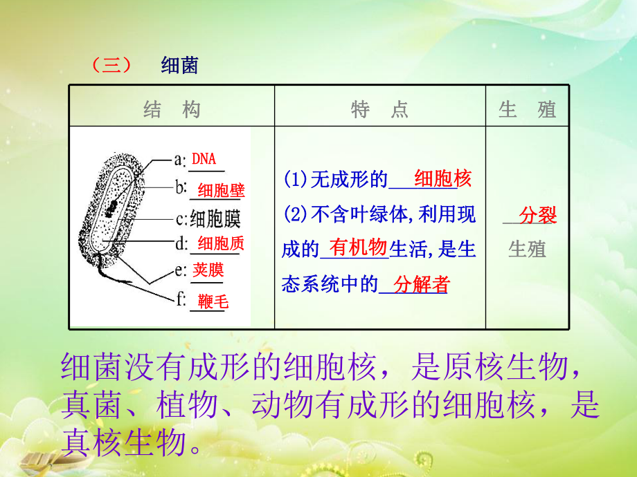 生物圈中的微生物.ppt_第3页