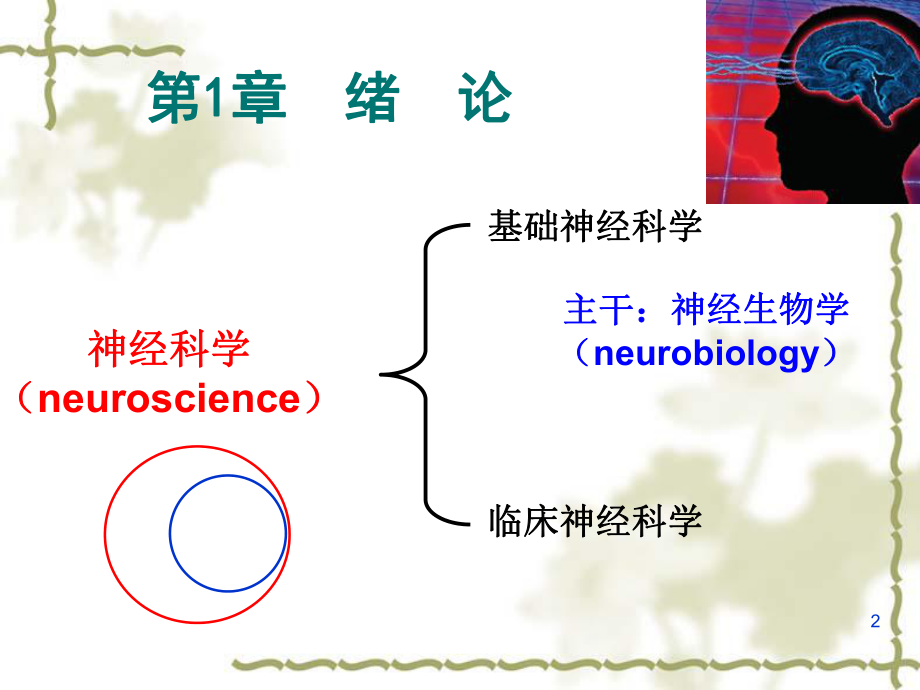 神经生物学概论.ppt_第2页