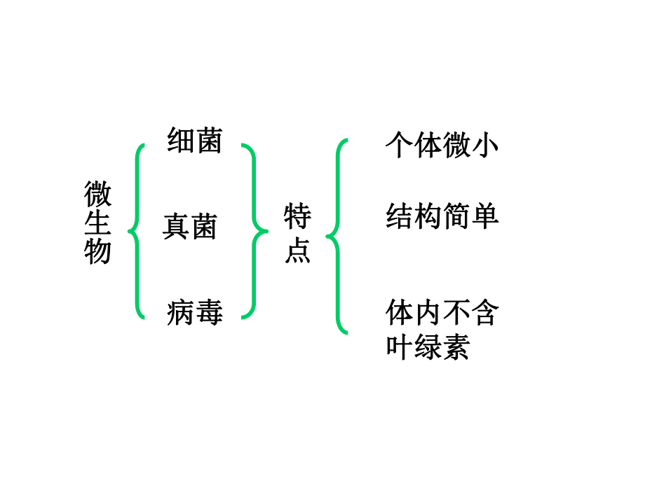 神奇的微生物.ppt_第2页