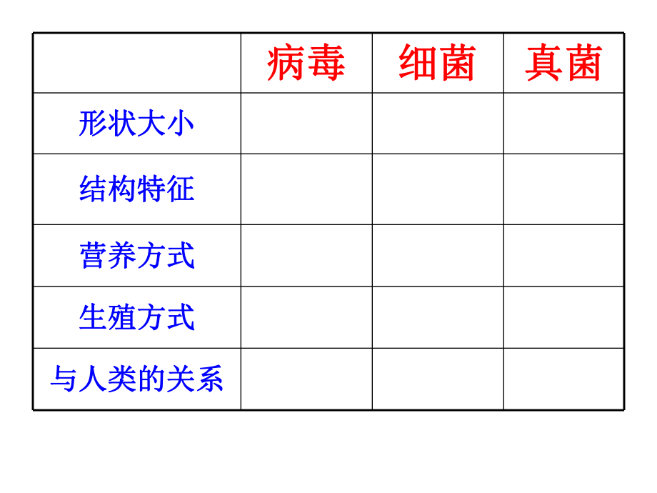 神奇的微生物.ppt_第3页