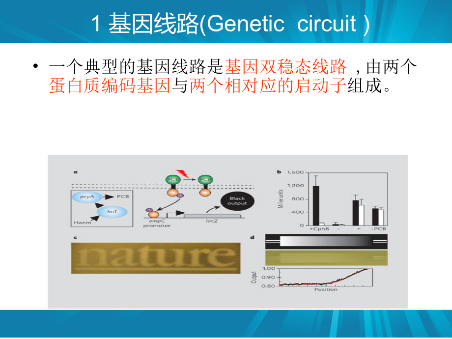 第九章合成生物学.ppt_第3页