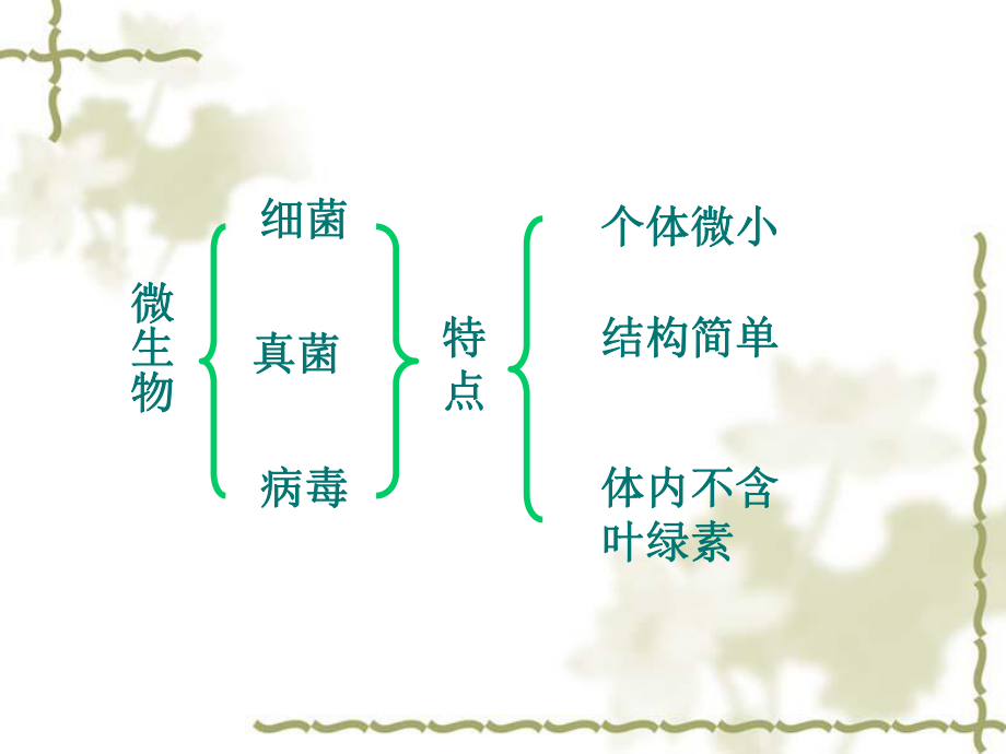 神奇的微生物.ppt_第2页