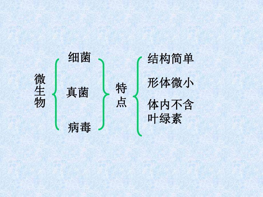 神奇的微生物1.ppt_第2页