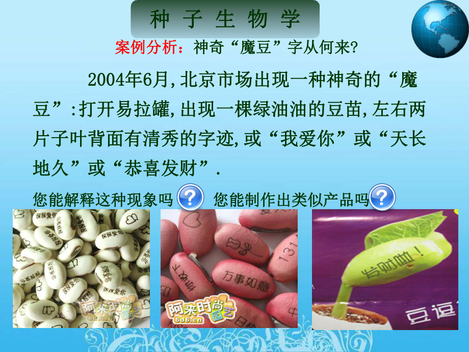 种子生物学).ppt_第3页