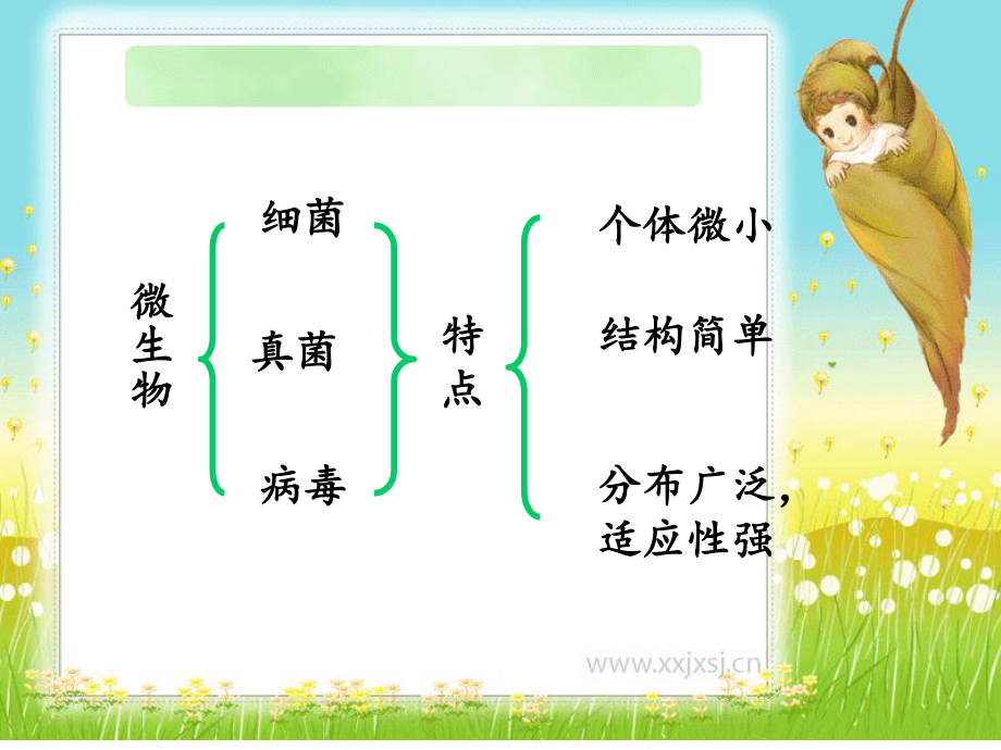 神奇的微生物.ppt_第2页