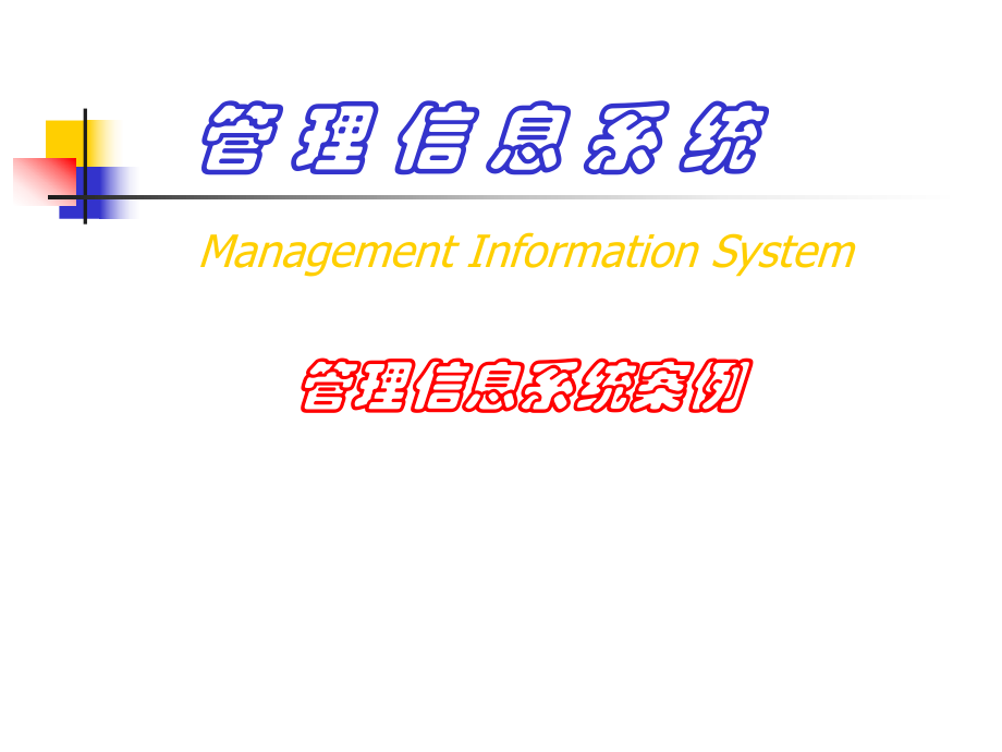 管理信息系统案例.ppt_第1页