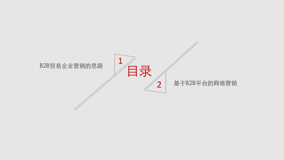 网络营销工具与使用.ppt_第2页