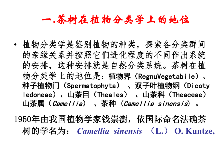 茶树的生物学特性.ppt_第3页