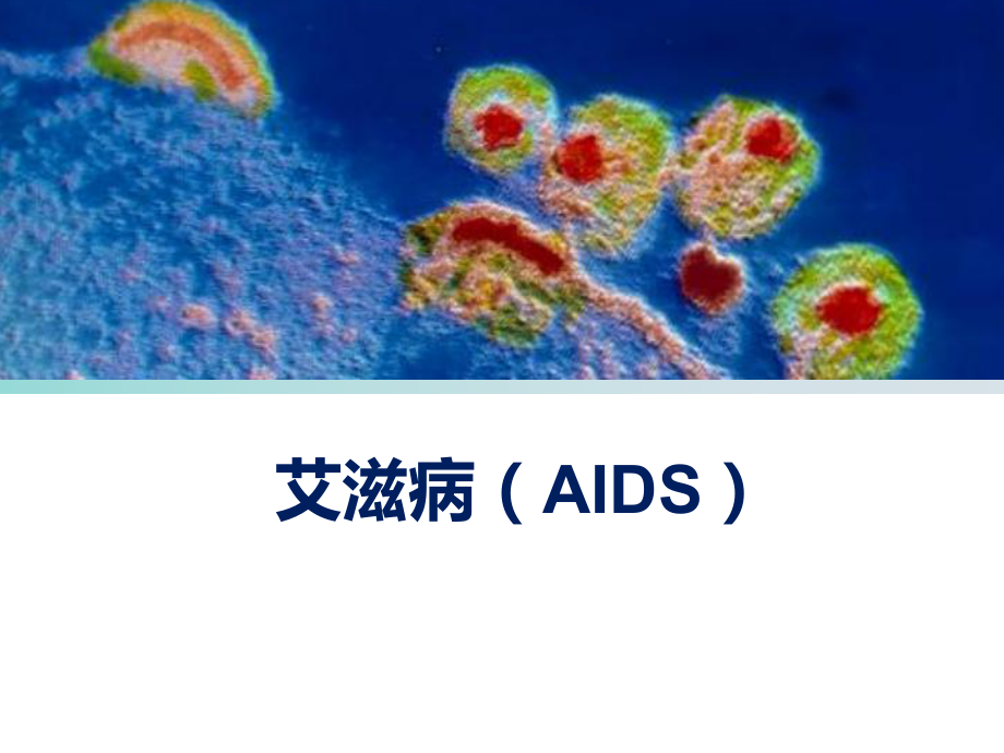 艾滋病传染病护理学.ppt_第1页