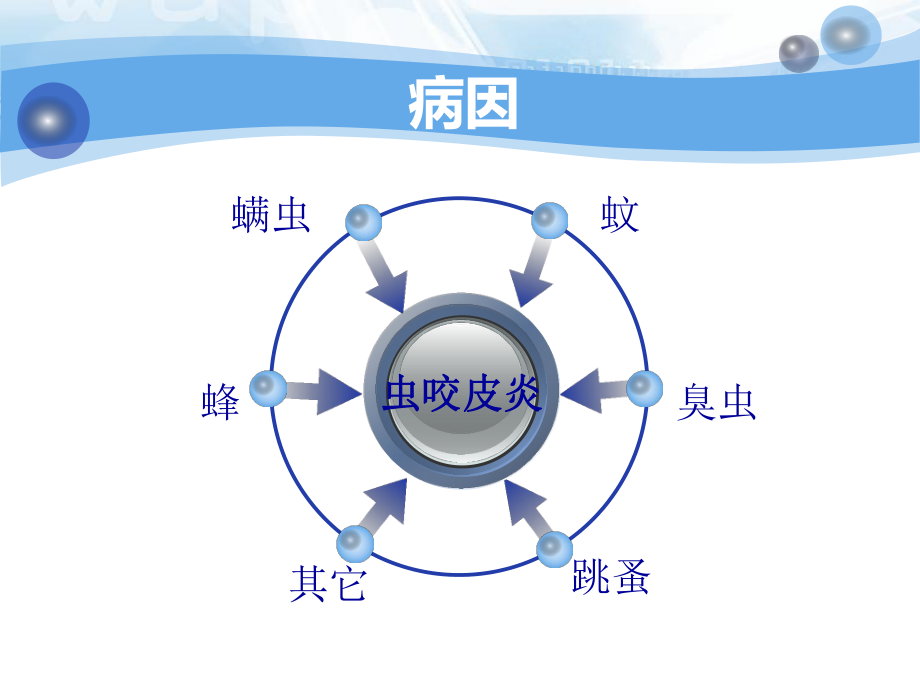 虫咬皮炎医学PPT课件.ppt_第3页