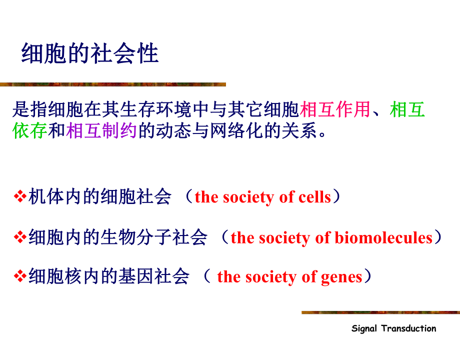 细胞生物学信号传导.ppt_第3页