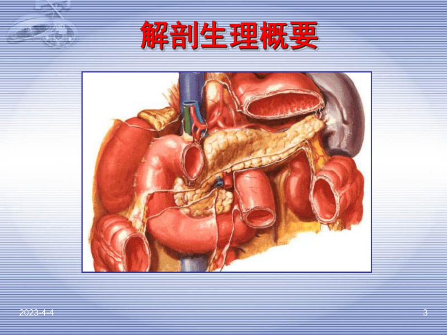 胰腺疾病PPT医学课件.ppt_第3页