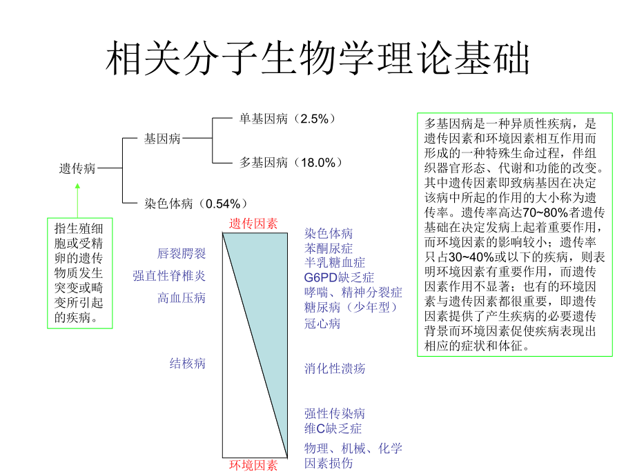 糖尿病与分子生物学.ppt.ppt_第2页