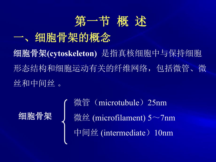 细胞骨架(细胞生物学).ppt_第3页