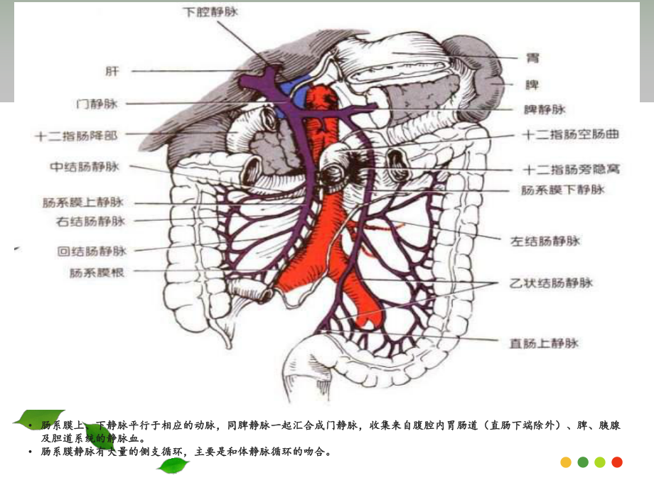 肠系膜静脉血栓形成PPT医学课件.ppt_第2页