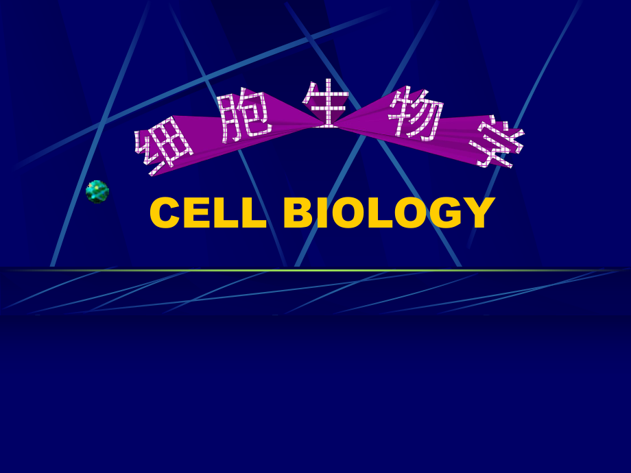 细胞生物学(电子版).ppt_第1页