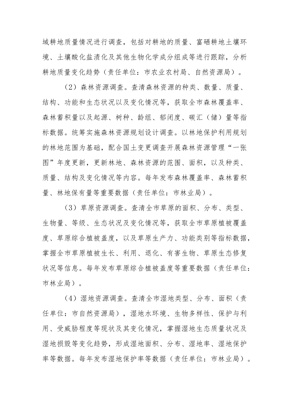 XX市自然资源调查监测体系构建实施方案.docx_第3页