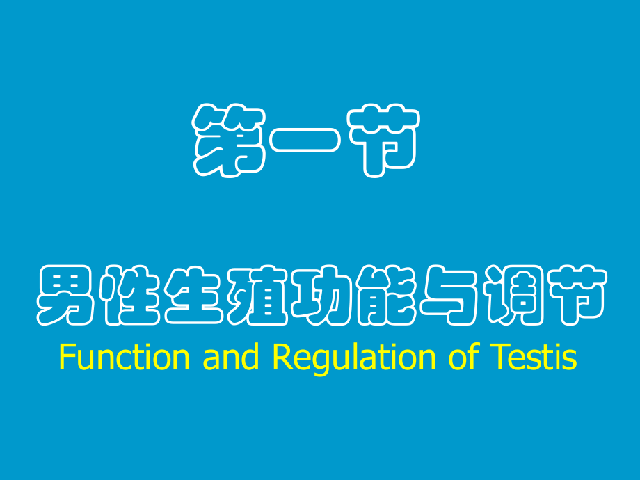 生理学生殖.ppt_第3页