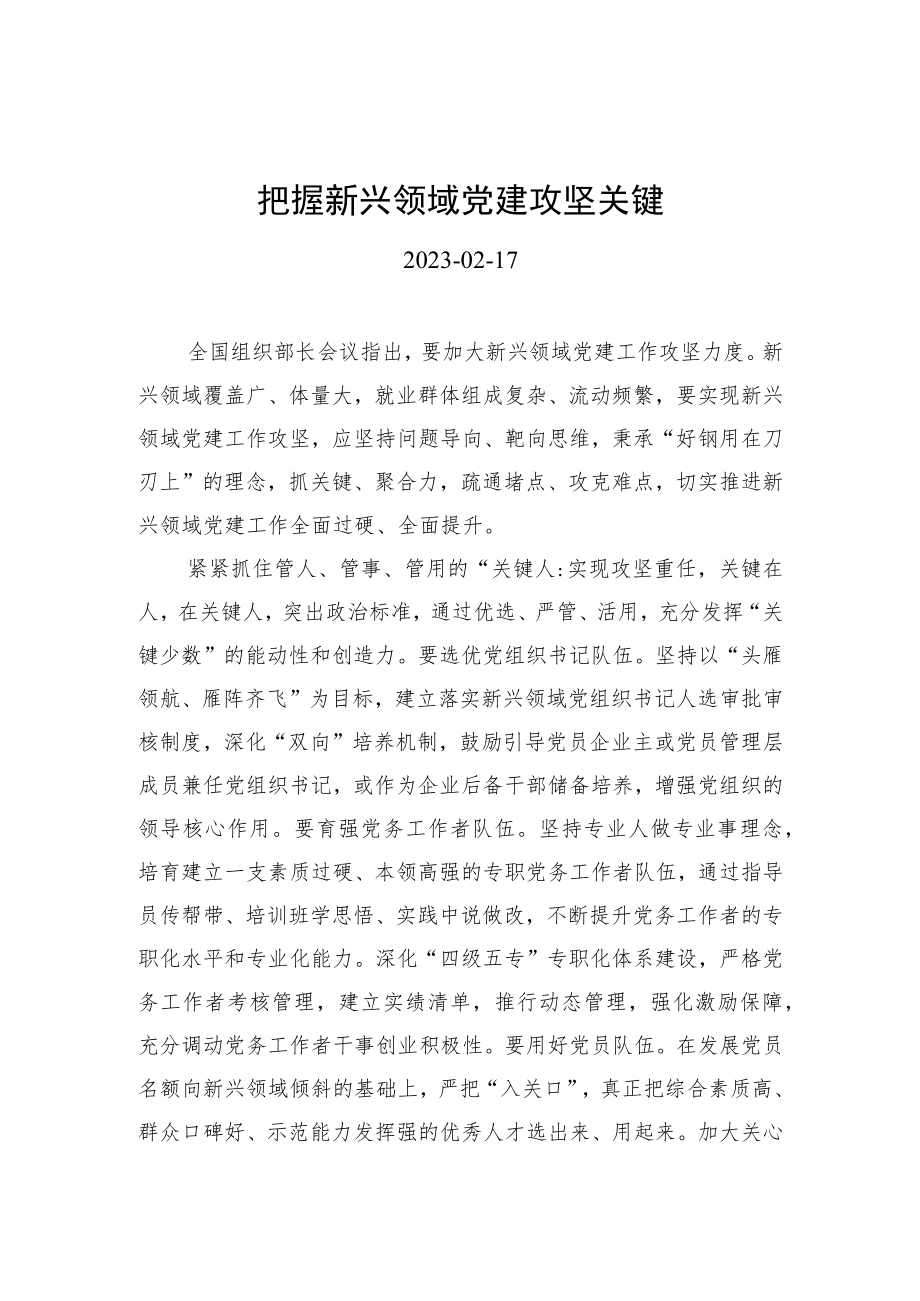 把握新兴领域党建攻坚关键.docx_第1页