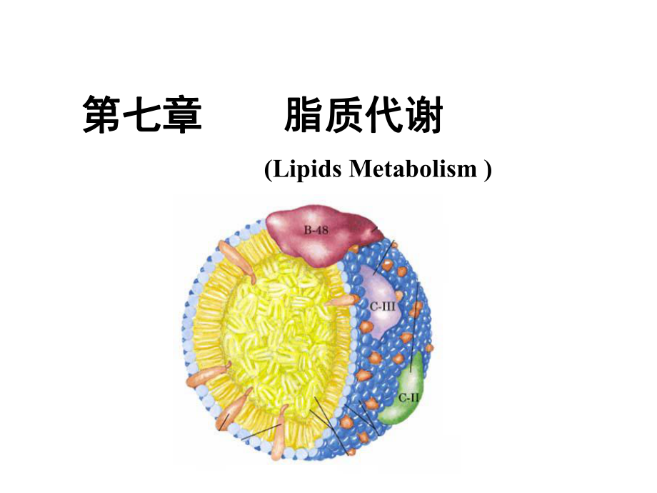 生物化学脂质代谢.ppt_第1页