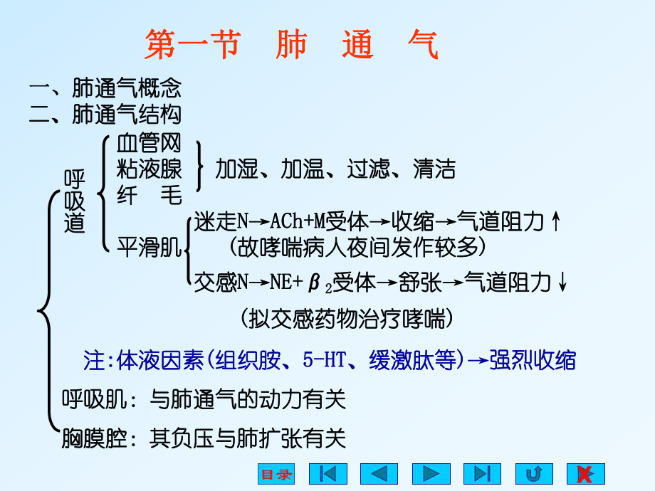 生理学课件呼吸ppt.ppt_第3页