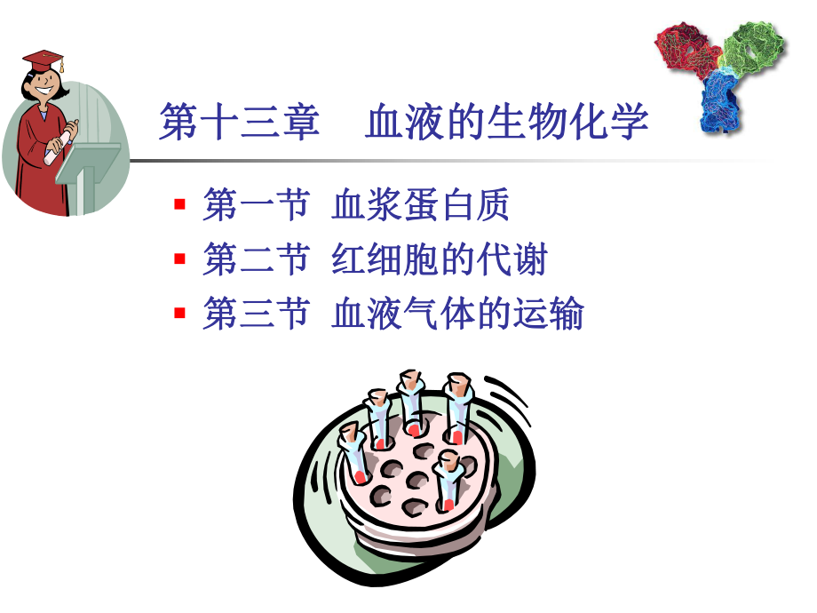 生物化学基础第13章血液的生物化学.ppt_第3页