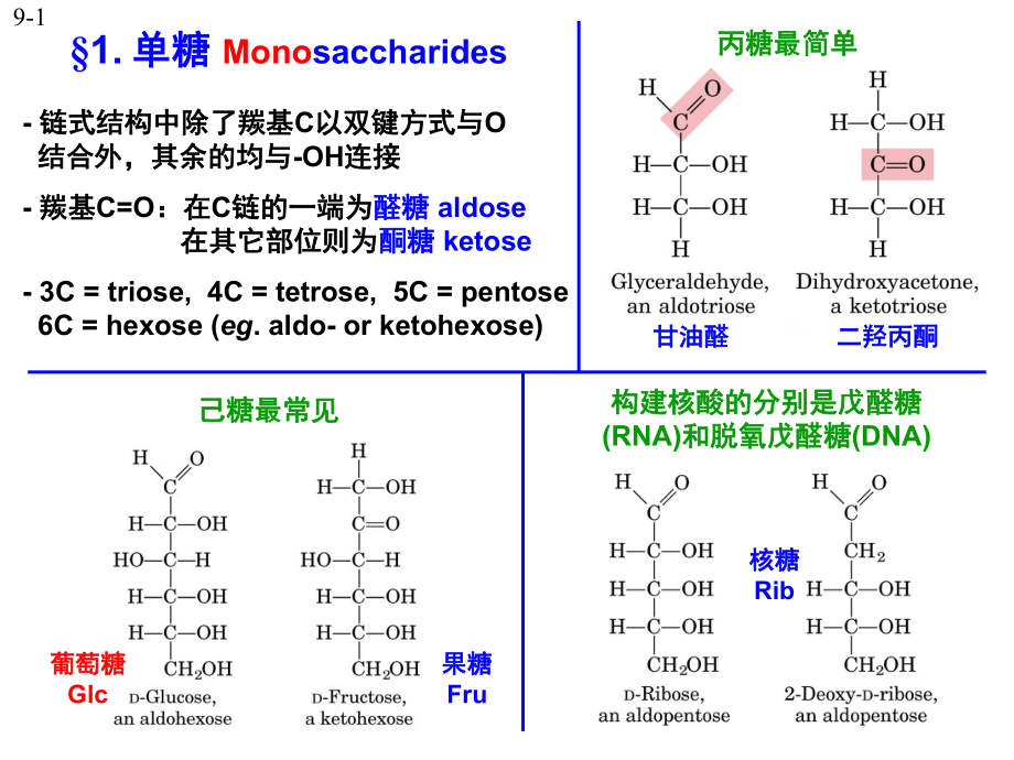 生物化学糖类ppt.ppt_第3页