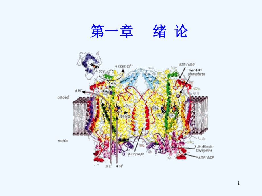 生物化学的概念.ppt_第1页