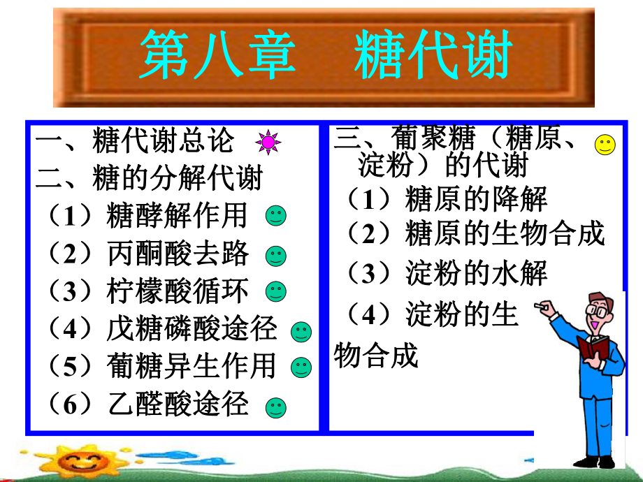 生物化学课件——糖代谢.ppt_第3页