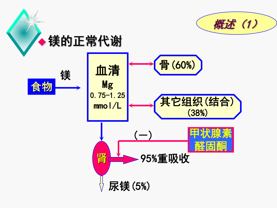 病理生理学镁代谢障碍.ppt_第3页