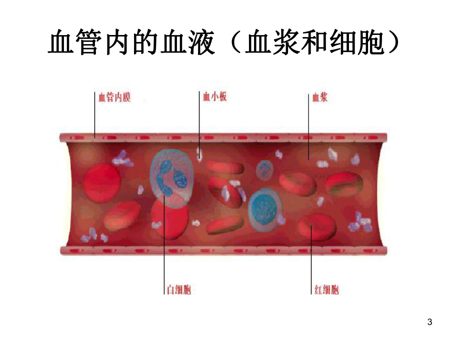 生物化学血液生化.ppt_第3页
