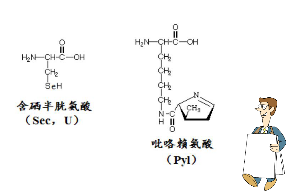 生物化学课件.ppt_第3页