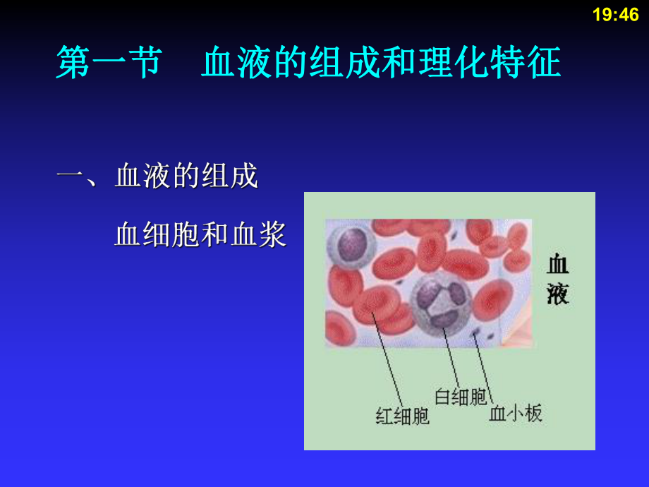 生理学中职课件03.ppt_第3页