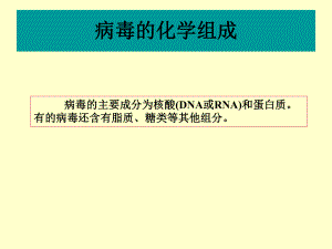 病毒的化学组成.ppt