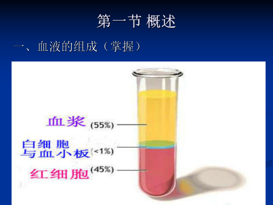 生理学血液系统.ppt_第2页