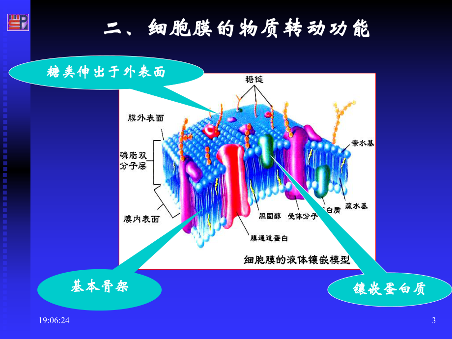 生理学细胞.ppt_第3页