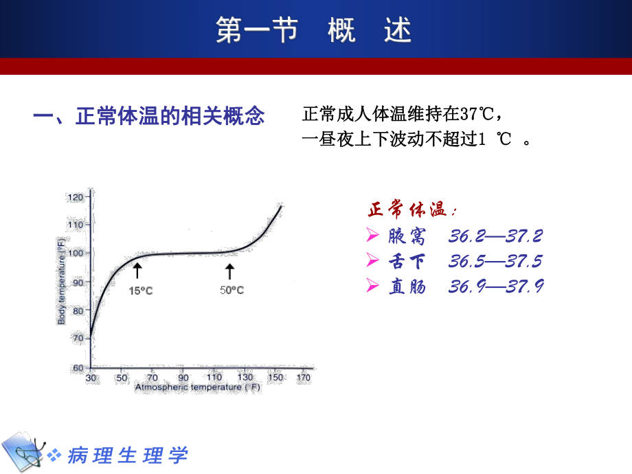 病理生理学6发热.ppt_第3页