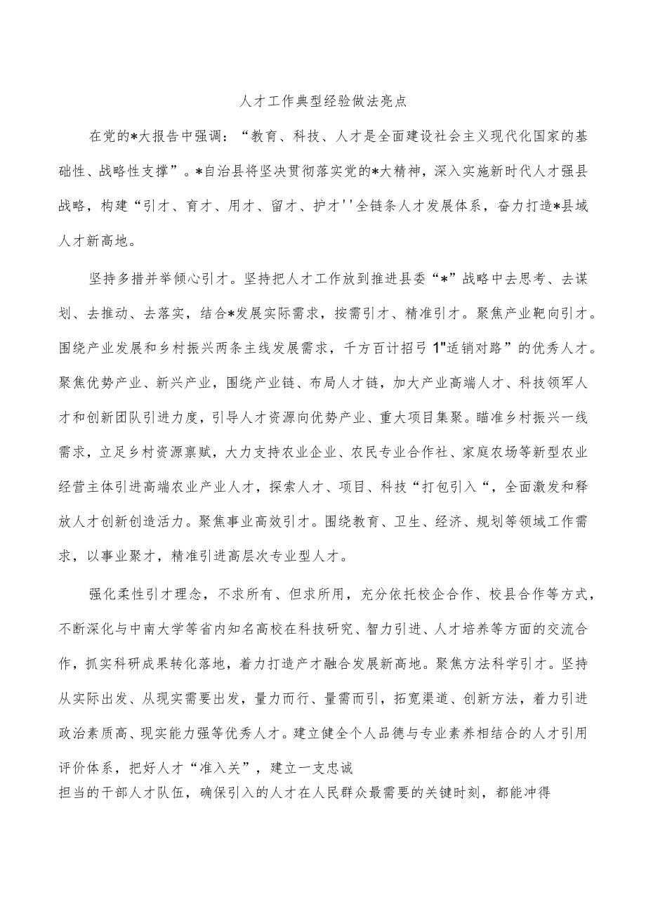 人才工作典型经验做法亮点.docx_第1页