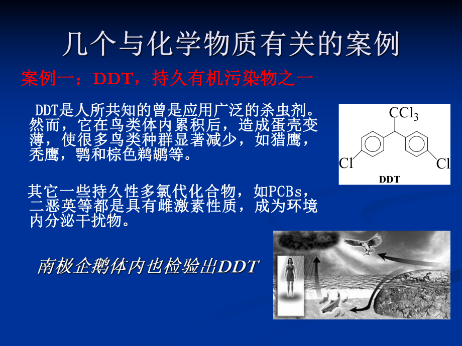 环境化学(绿色化学与清洁生产).ppt_第2页