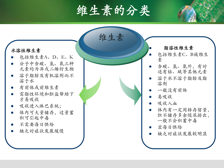 生物化学维生素知识总结.ppt_第2页